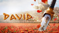 David_03.jpg