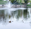 IMG_20260410_191120.jpg