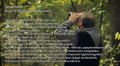 Sipos_Imre_szerzetes.jpg
